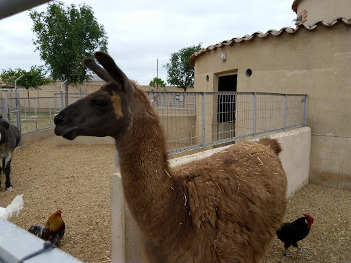 Zoológico "La Era de las Aves"
